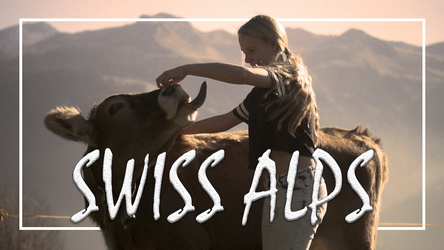 Zwitserland - Koei knuffelen